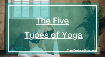The Five Types of Yoga